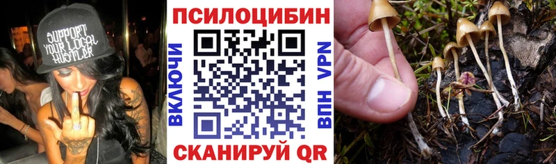 Галлюциногенные грибы GOLDEN TEACHER Купить где Махачкала